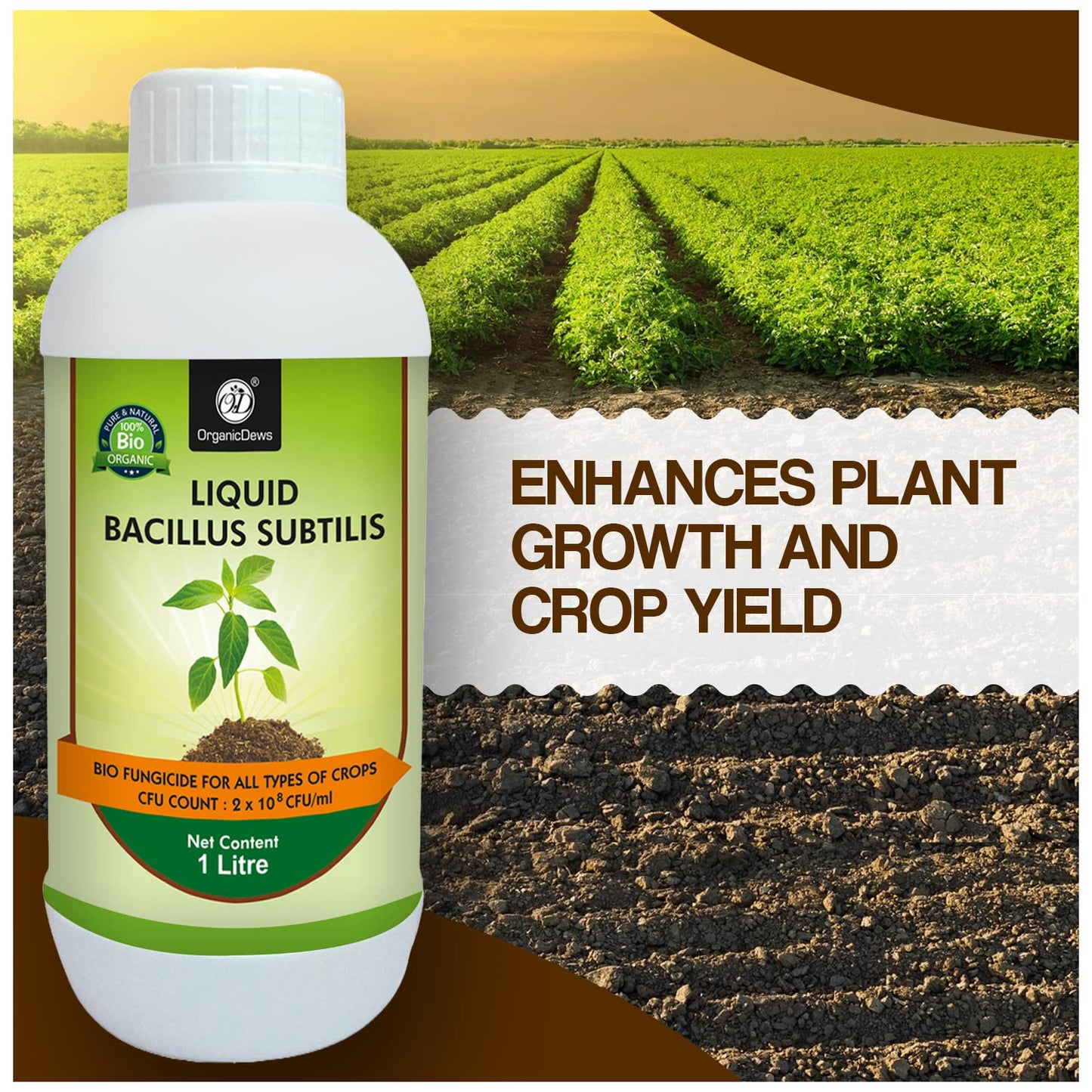 OrganicDews: Your Natural Shield Against Crop Diseases