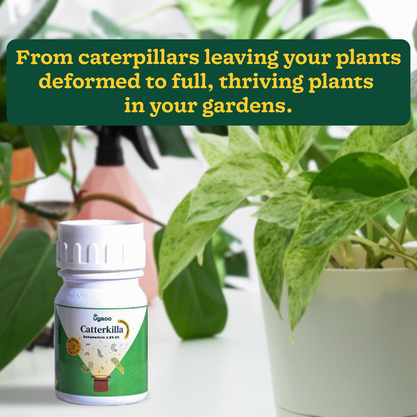 UGAOO Caterkilla Caterpiller Killer and Repellent for Plants, Garden | DIY Concentrate Solution (100 ML)