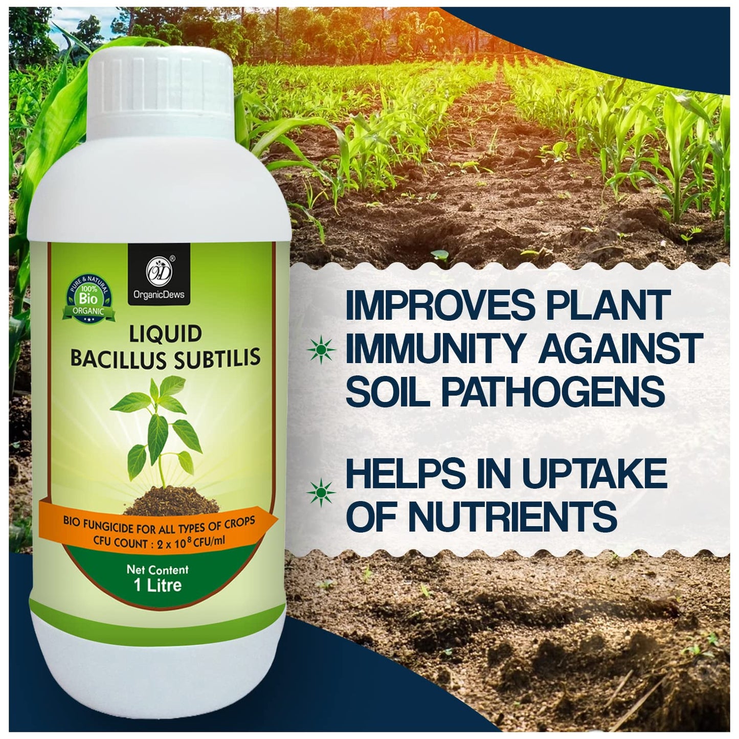 OrganicDews: Your Natural Shield Against Crop Diseases