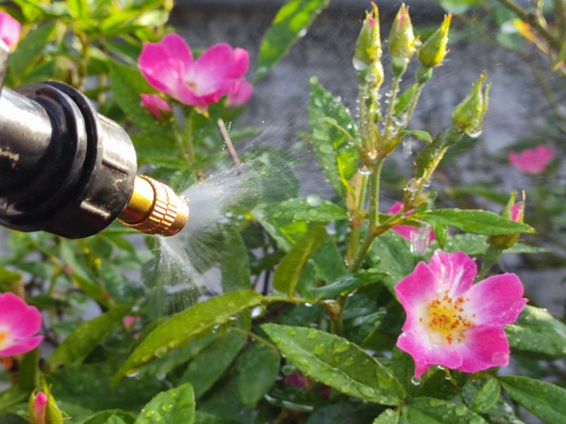 order Organic pesticide