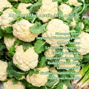 better and larger cauliflower