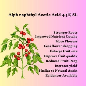 Katyayani Alpha Naphthyl Acetic Acid 4.5% SL : Plant Growth Regulator - Improves Quality Yield of fruits (250ml x 2)