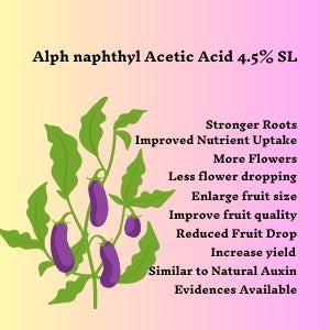 Katyayani Alpha Naphthyl Acetic Acid 4.5% SL : Plant Growth Regulator - Improves Quality Yield of fruits (250ml x 2)