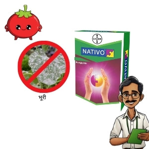 powdery mildew control