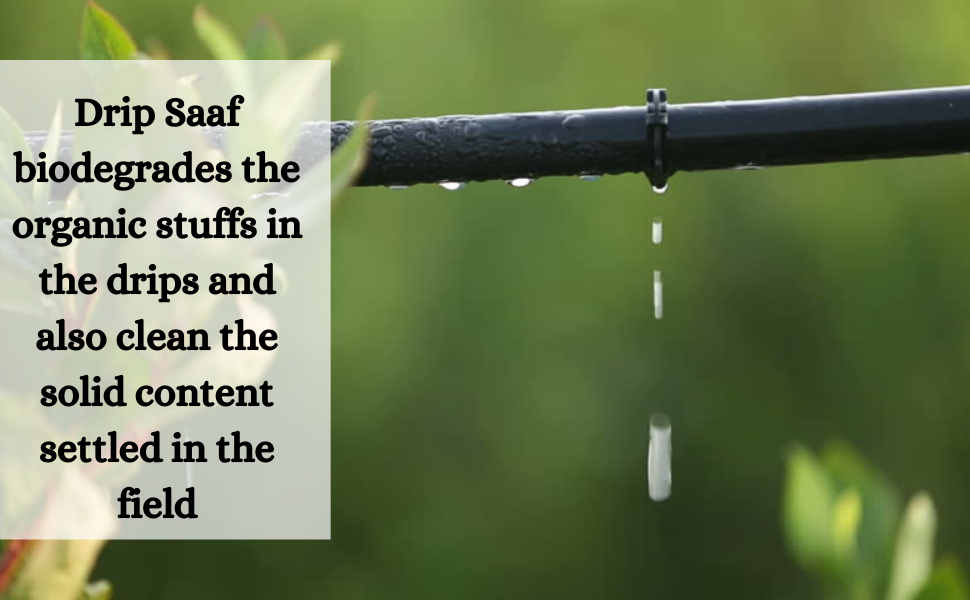 biodegradable drip cleaner