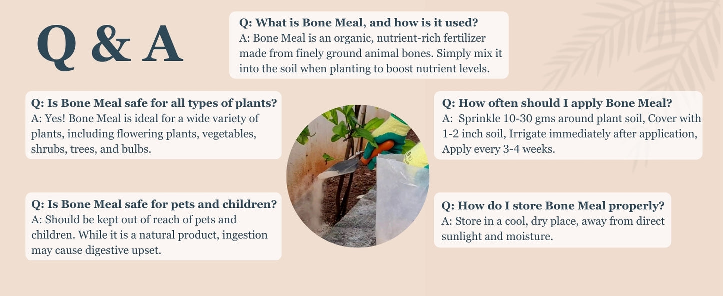 Unlock a Thriving Garden with Steamed Bone Meal - The Natural Choice for Indian Gardeners!