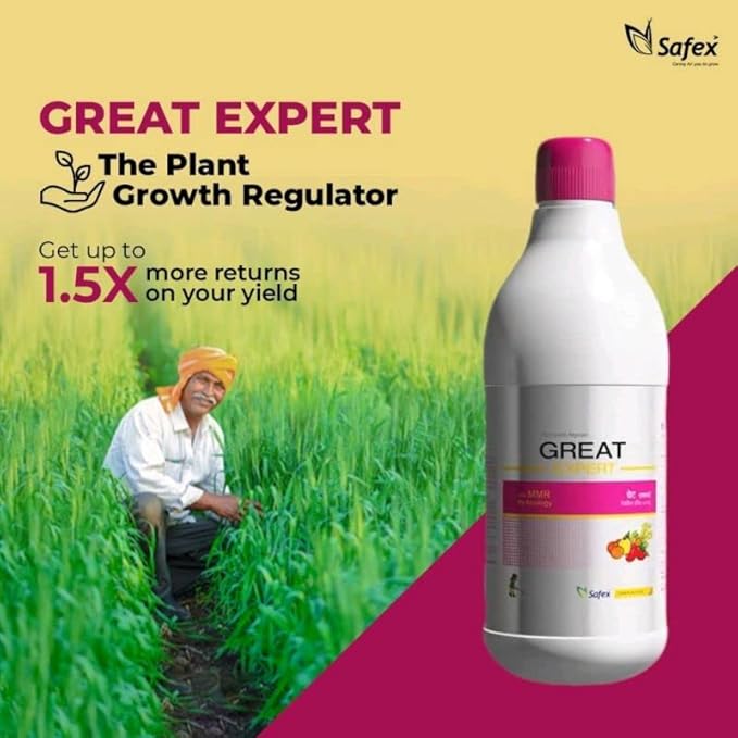 Great Expert