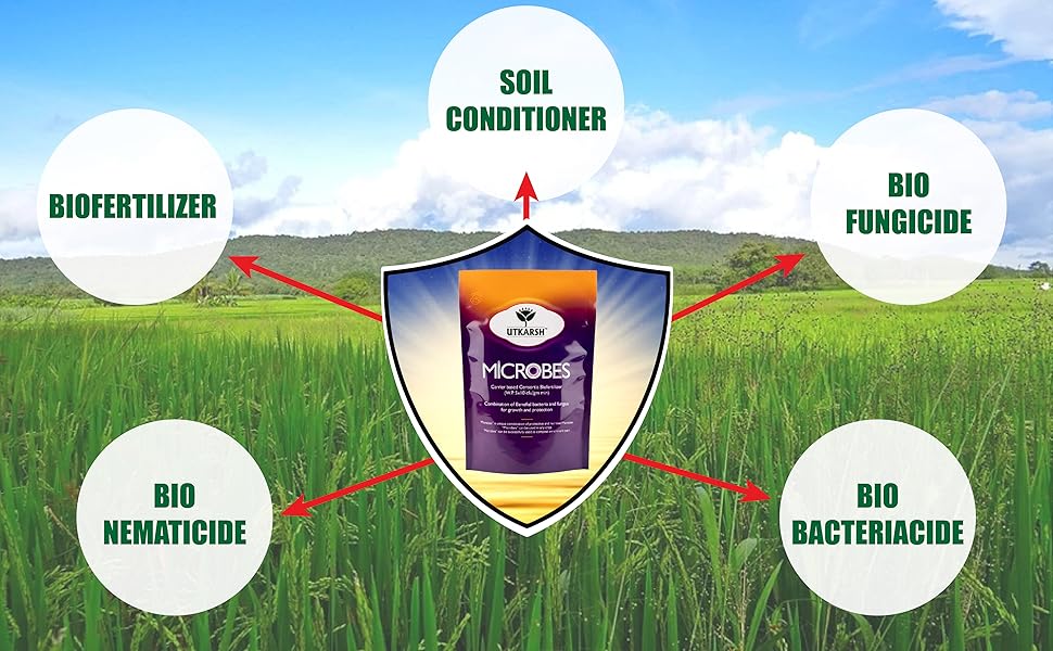 Benefits of biofertilzier