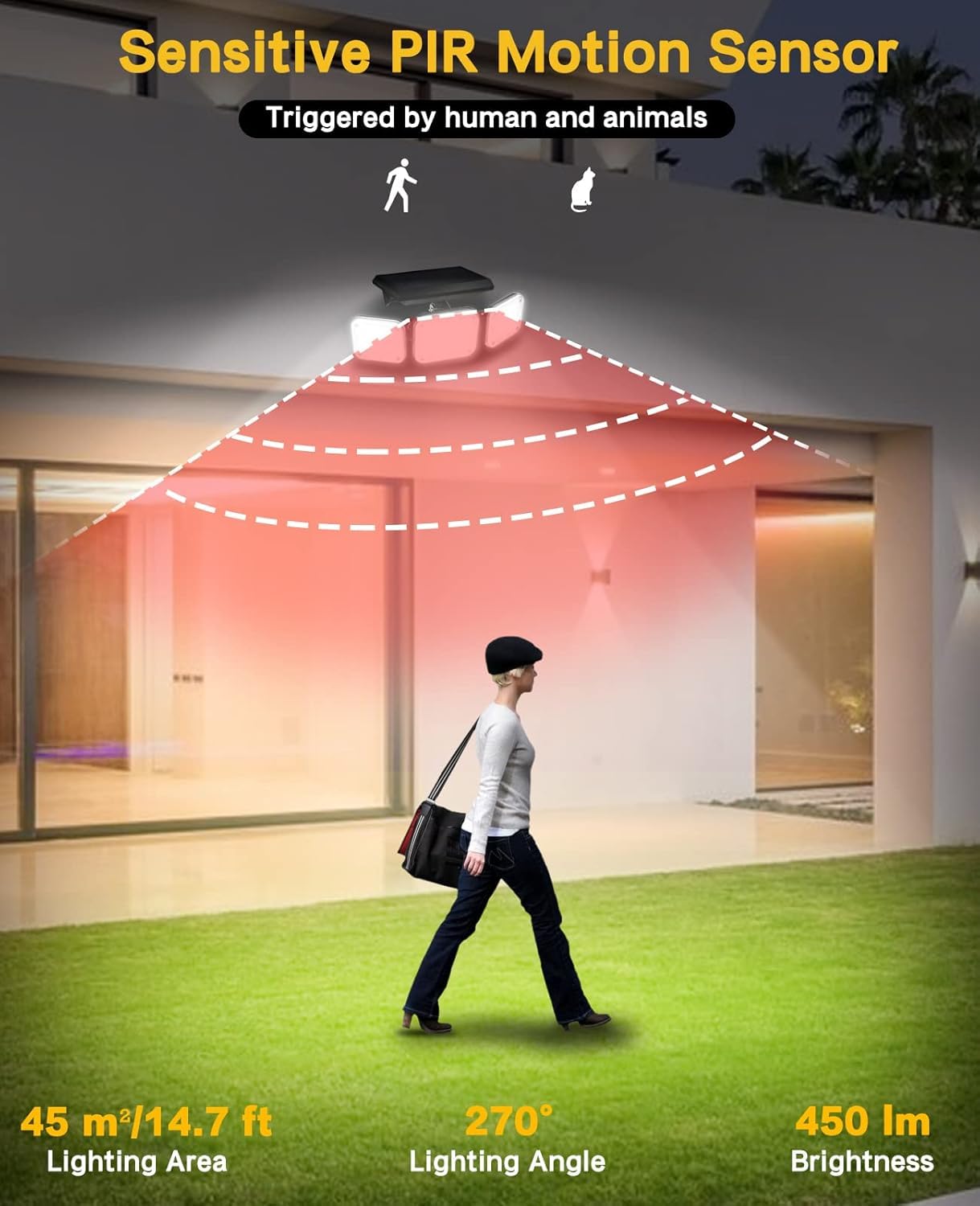 moshan sansar light price
