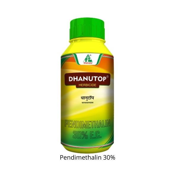 धनुटॉप 1 LTR पॅक 3