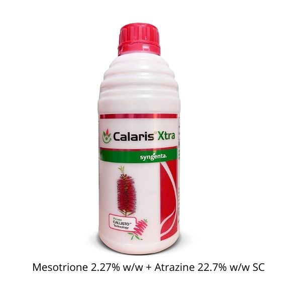 syngenta Calaris Xtra, syngenta Calaris Extra