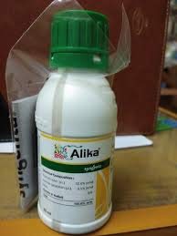 अलिका 80ML