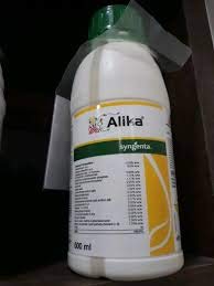 अलिका 80ML