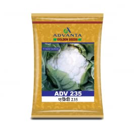 advanta upl hybrid golden seeds adv 235 qualiflower 50 pcs