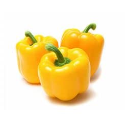 Radha Krishna Agriculture® Imported Capsicum Vegetable Seeds | Yellow Capsicum Seed For Your Home Garden Pack of 30 Gram Seeds