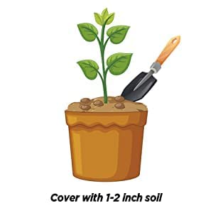 Vanshika agro NPK 19 19 19 (1kg)