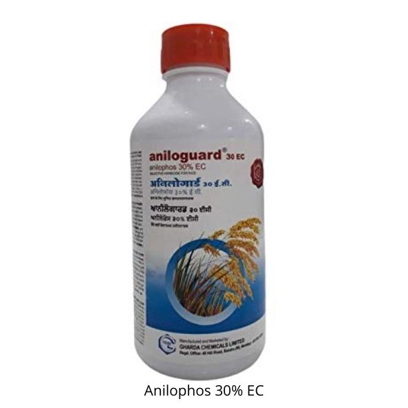anilogard anilophos 30% EC Herbicide