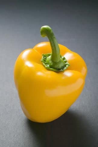 Radha Krishna Agriculture® Imported Capsicum Vegetable Seeds | Yellow Capsicum Seed For Your Home Garden Pack of 30 Gram Seeds