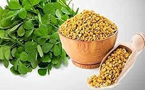 EYWA - Fenugreek Vegetable Seeds - Methi Seeds - Kasuri Methi Seeds - Seeds For Farming - Home Garden Seeds (250 Grams)