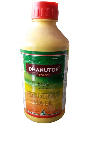 धनुटॉप 1 LTR पॅक 3