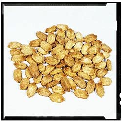 Bittergourd Seeds F1 hybrid for farmers