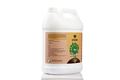 Utkarsh Rhizoz (राइज़ोबियम नाइट्रोजन फिक्सिंग बैक्टीरिया) (10 लीटर) मटर, बीन्स और मूंगफली के लिए बायो फ़र्टिलाइज़र (5 लीटर, 2 का सेट)