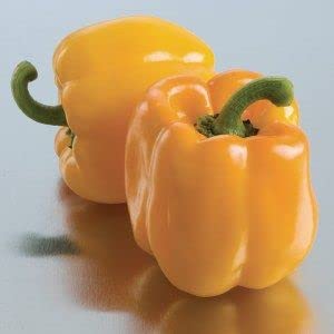 Radha Krishna Agriculture® Imported Capsicum Vegetable Seeds | Yellow Capsicum Seed For Your Home Garden Pack of 30 Gram Seeds