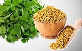 EYWA - Fenugreek Vegetable Seeds - Methi Seeds - Kasuri Methi Seeds - Seeds For Farming - Home Garden Seeds (500 Grams)