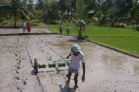 Manual Direct Paddy Seeder | Rice Seeding Machine | Manual Drum Seeding Machine | Agriculture Seeding Machine