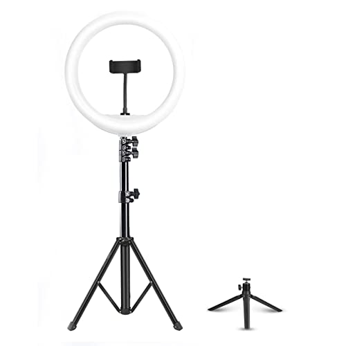 DIGITEK® (DRL-14C) प्रोफेशनल (31cm) यूट्यूब, फोटो-शूट, व्हिडिओ शूट, लाइव्ह स्ट्रीम, मेकअप, व्लॉगिंग आणि अधिकसाठी ट्रायपॉड स्टँड आणि मिनी ट्रायपॉडसह ड्युअल टेम्परेचर एलईडी रिंग लाइट