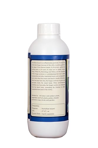 PLANT'S BUDDY - Verticillium Lecanii Liquid (2 * 10^9 CFU/ml) - Bio-Insecticide for All Indoor and Outdoor Plants - 500 ml