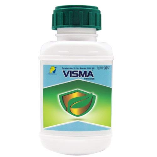 buy PI Visma online