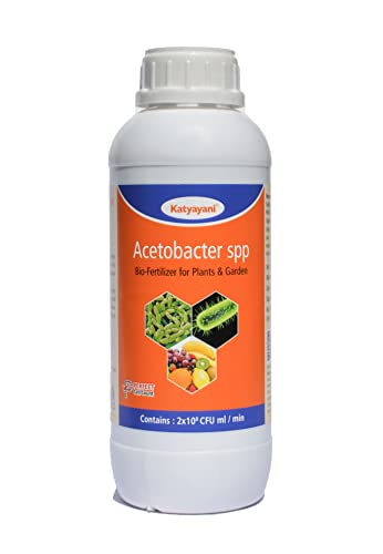 एसिटोबैक्टर 1000 एमएल