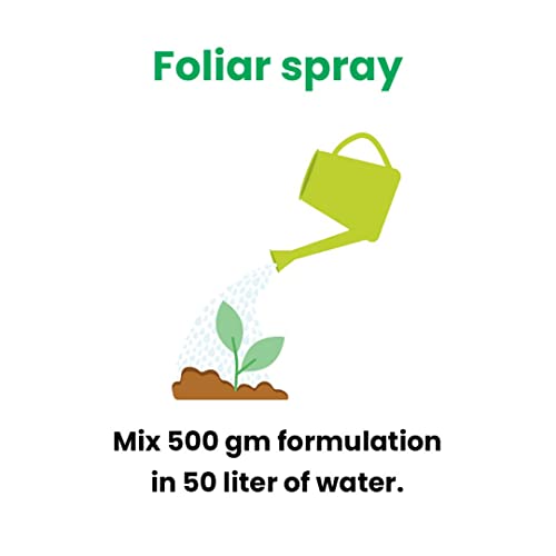 Pseudo-PEP (3KG) Pseudomonas Fluorescens Organic Pesticide and Fungicide for Root Growth| Soil Booster for Plants Organic | Soil Mix for Flower Plants Home Garden| Crop Fertilizer for Seeds