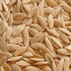 advanta upl hybrid golden seeds gemini cucumber 200 pcs