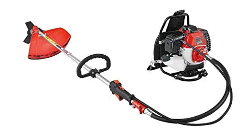 FIELDSTAR बोस्टन 4 स्ट्रोक बैकपैक ब्रश कटर अटैचमेंट के साथ