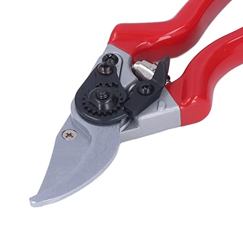 Pruning Shears, Pointed Branch Scissor for Agriculture'$