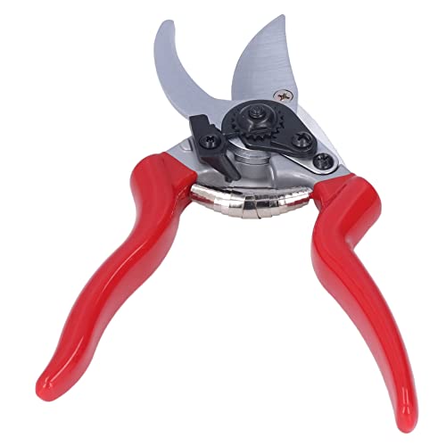 Pruning Shears, Pointed Branch Scissor for Agriculture'$