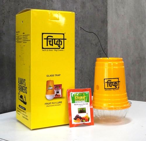 चिपकू बॅक्टोसेरा डोर्सालिस फ्रूट फ्लाय आउटडोअर इको फेरोमोन ट्रॅप आंबा, पपई, सपोटा, पेरू, डाळिंब, गोड फळांमध्ये उपयुक्त - 100 तपकिरी रंगाचा पॅक