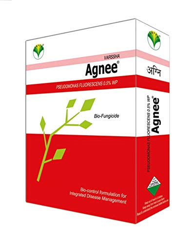 अग्नी जैव-बुरशीनाशक स्यूडोमोनास (900 ग्रॅम)