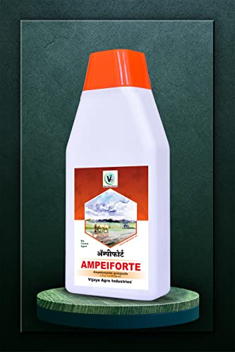 VIJAYA AGRO Ampelomyces Quisqualis