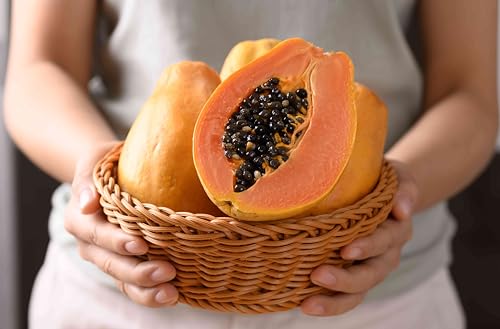 VedoMax Papaya Seeds | Papita Beej | Dried Papaya Seeds | - (50 gm)