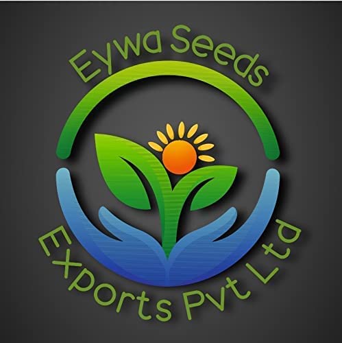 EYWA - टैरेस गार्डनिंग (होम गार्डनिंग) के लिए सब्जियों के बीज विभिन्न स्वस्थ जैविक बीजों की 9 किस्में हरे अमरनाथ, लाल अमरनाथ, पालक, धनिया, चुकंदर, मुदा, ग्वार, वटाना मटर और भिंडी। पैकेज में 2500+ बीज