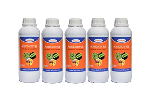 Katyayani Acetobacter Bio Fertilizer 5L for Plants and Home Garden Nitrogen Provider for Sugarcane Sweet Sorghum Sweet Corn Eco-Friendly Liquid Nitrogen-Fixing Bacteria Recommended by NPOP for Organic Farming | 5 X 10^8 Cfu Ml/min | 1000ml x 5