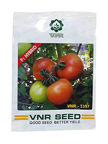 VNR 3357 Hybrid F1 quality round Tomato seeds 10gm - Tamatar