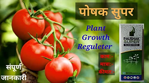 KRISHI RASAYAN EXPORTS PVT.LTD. Paushak Super Star, Plant Growth Regulator For All Crops(100 Ml), Spray