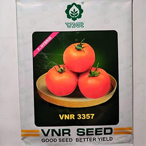 VNR 3357 Hybrid F1 quality round Tomato seeds 10gm - Tamatar