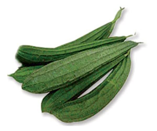 SANSAAR SEEDS रिज लौकी F1 हाईब्रिड सब्जियों के बीज घर की बागवानी के लिए गहरा हरा (100)