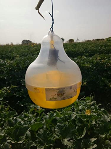 Green Revolution Maxplus Melon Fruit Fly Pheromone Trap With Lure Combo Pack, Yellow