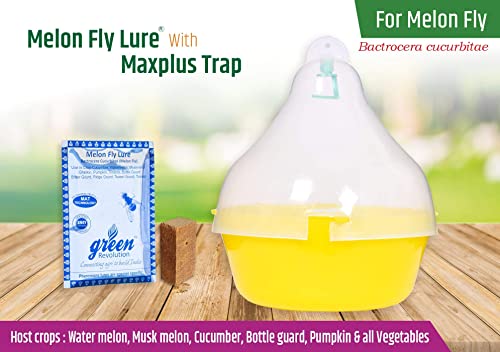 Green Revolution Maxplus Melon Fruit Fly Pheromone Trap With Lure Combo Pack, Yellow